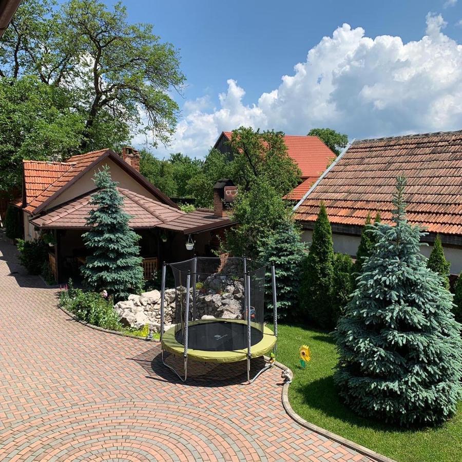 Pensiunea Haiduc Sacele Brasov Bagian luar foto