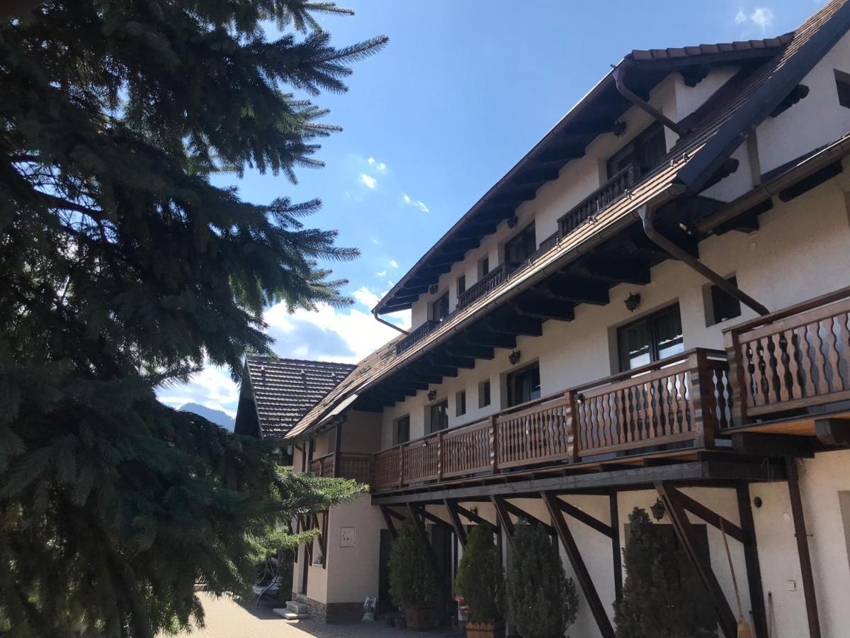 Pensiunea Haiduc Sacele Brasov Bagian luar foto