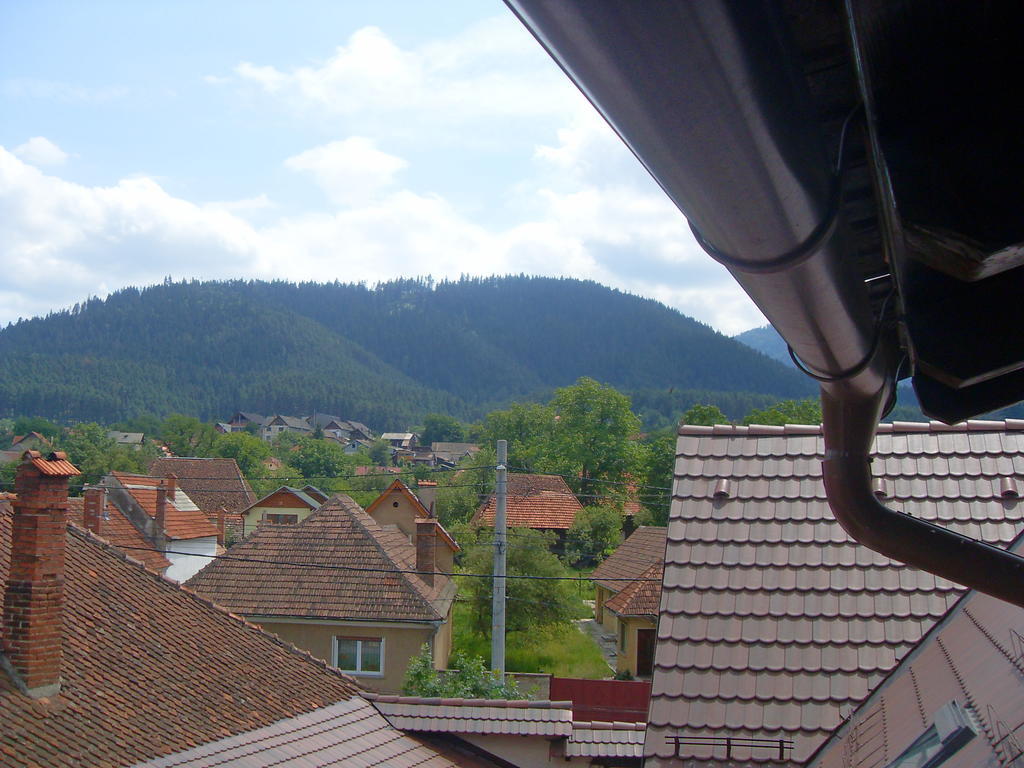 Pensiunea Haiduc Sacele Brasov Bagian luar foto