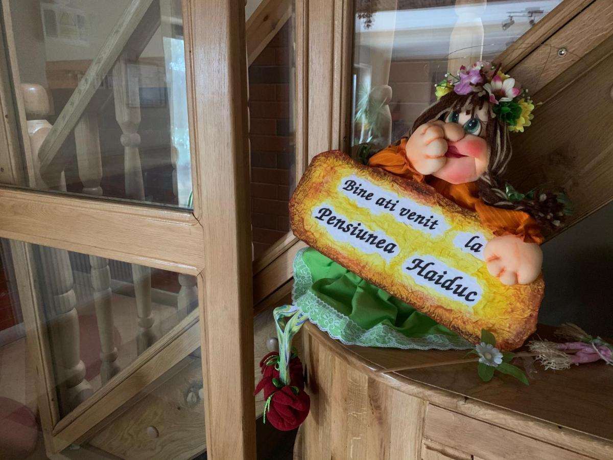 Pensiunea Haiduc Sacele Brasov Bagian luar foto
