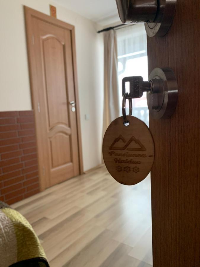Pensiunea Haiduc Sacele Brasov Bagian luar foto